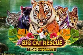 Big Cat Rescue Megaways